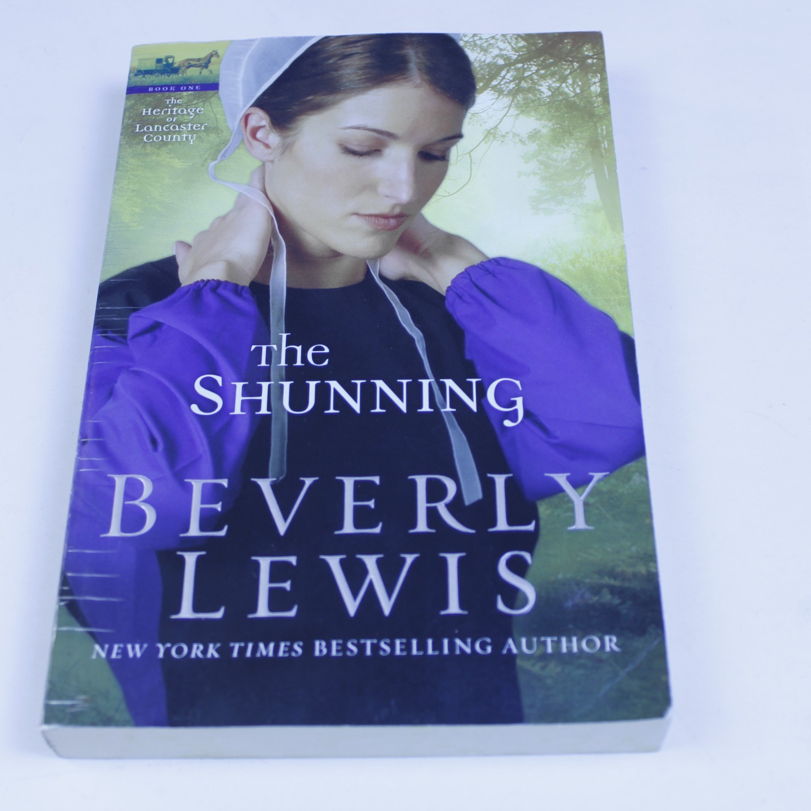 Amish Fiction The Shunning Beverly Lewis