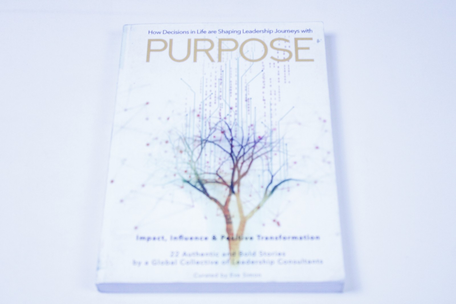 career alignment and personal growth