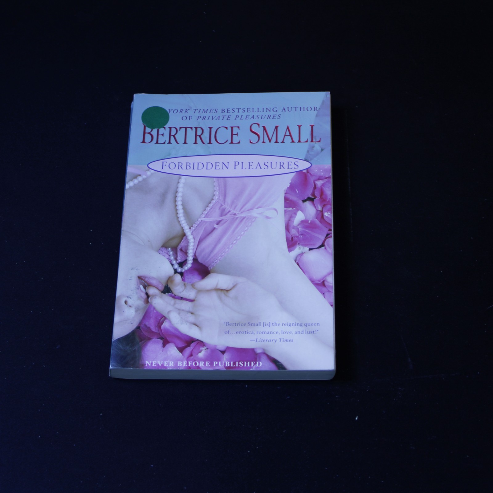 Forbidden Pleasures by Beatrice Small Classic Romance Novel Vintage Fiction Book — cover