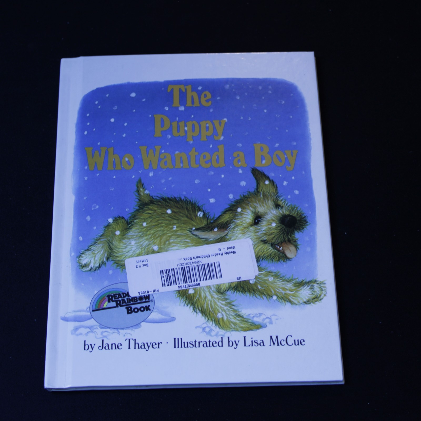 The Puppy Who Wanted A Boy by Jane Thayer Classic Childrens Story Book — cover