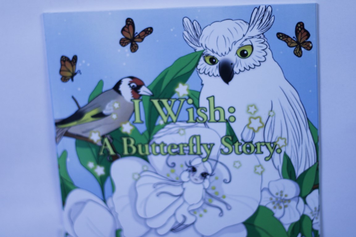 I Wish A Butterfly Story by Meryem Belguebli Beautiful Illustrated Picture Book — cover