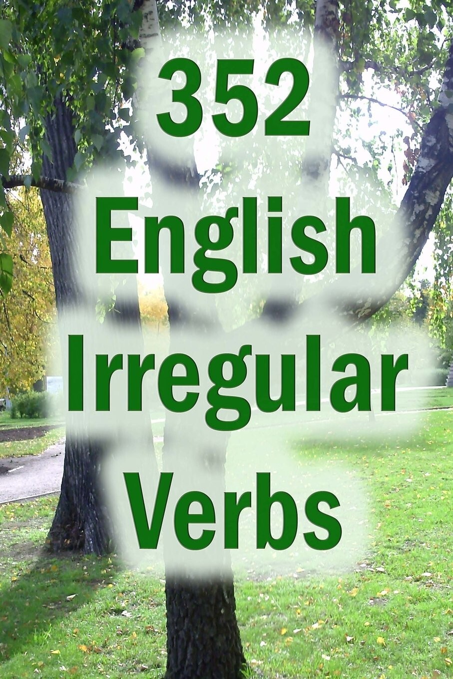 352 English Irregular Verbs Practice Book by Nina G. Dobrynina Learn English — cover