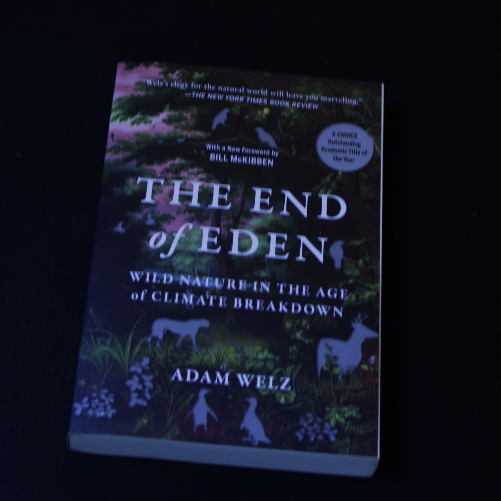 The End of Eden book cover - available on eBay from Wiredwizard