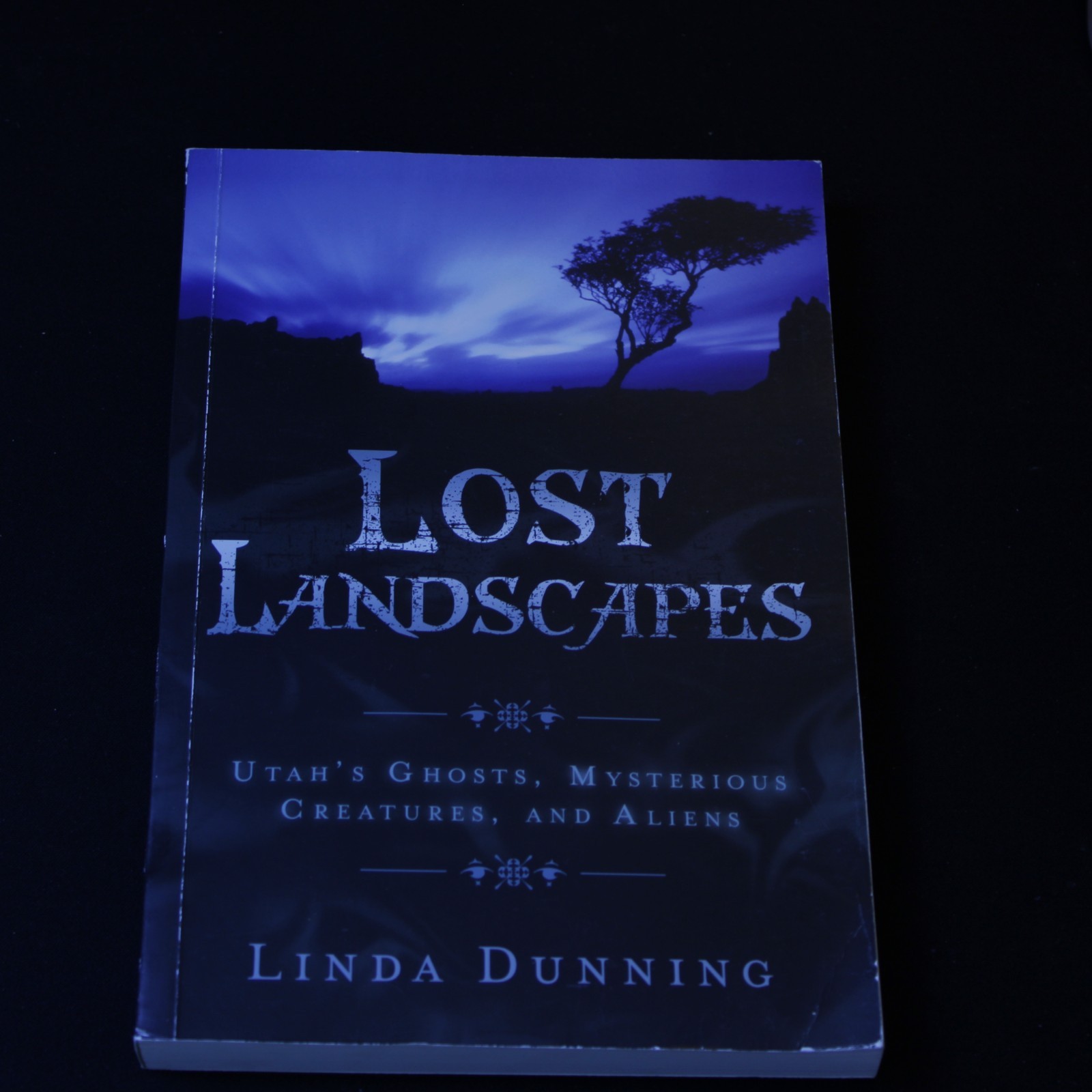 Lost Landscapes Utah book cover - available on eBay from Wiredwizard