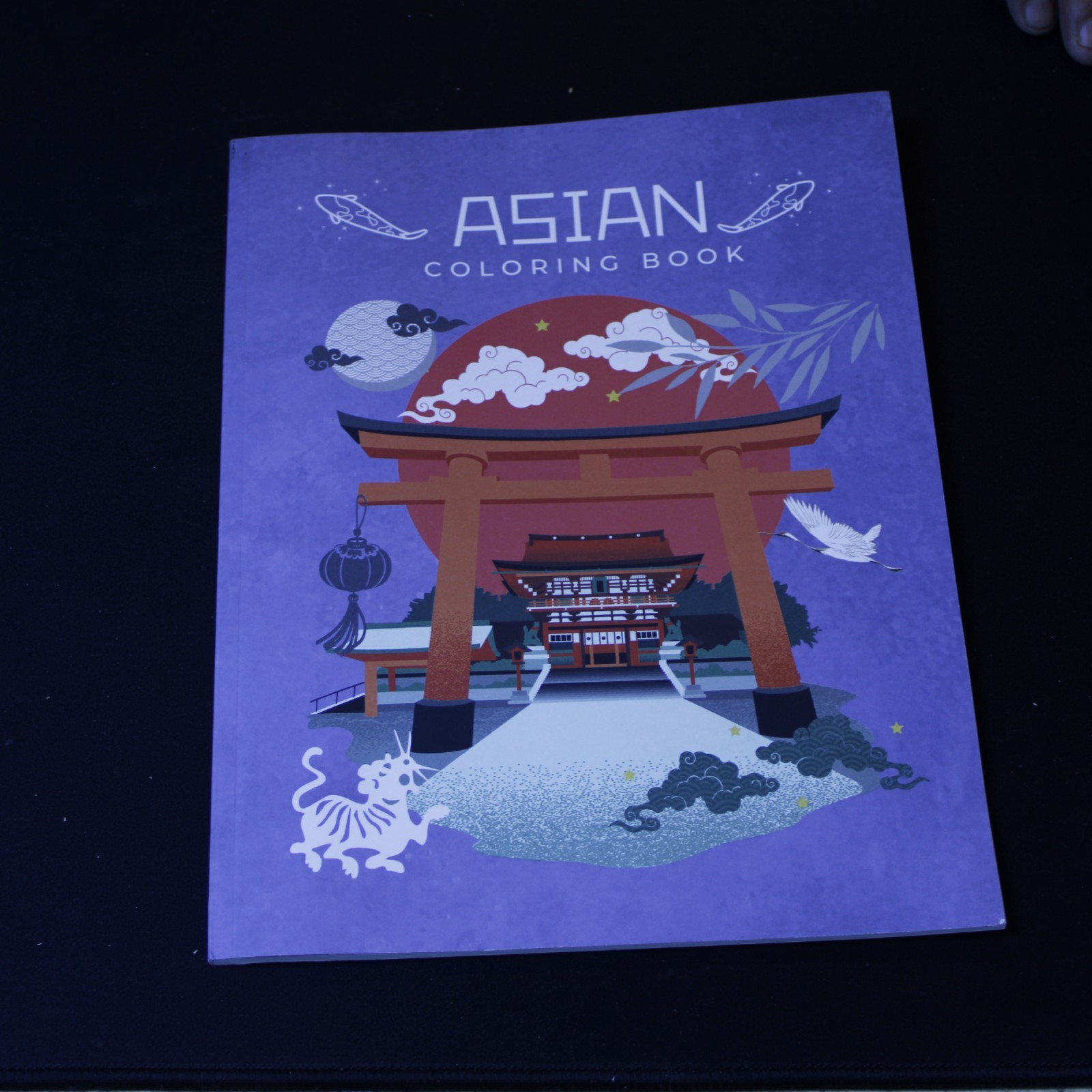 Asian Art Coloring Book book cover - available on eBay from Wiredwizard