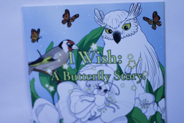 Picture Book Essential: I Wish A Butterfly Story by Meryem Belguebli - Definitive Review and Complete Collectors Guide